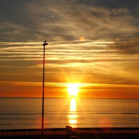 Apartament Comfortable 2 Km Away From The Sea