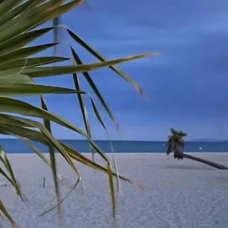 Comfortable 2 Km Away From The Sea Apartament Le Barcarès